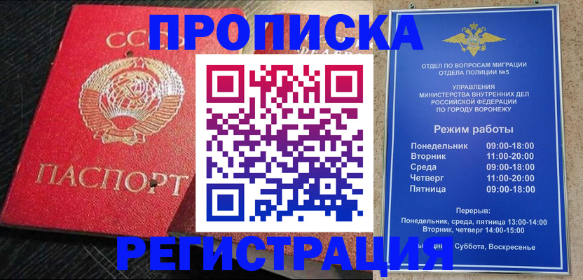 временная регистрация поиск в Краснодаре